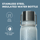 16 oz Stainless Steel Insulated Water Bottle
